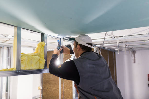 Best Local Insulation Services  in Fulton, MO
