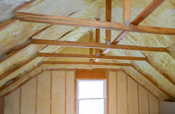 Best Insulation Removal  in Fulton, MO